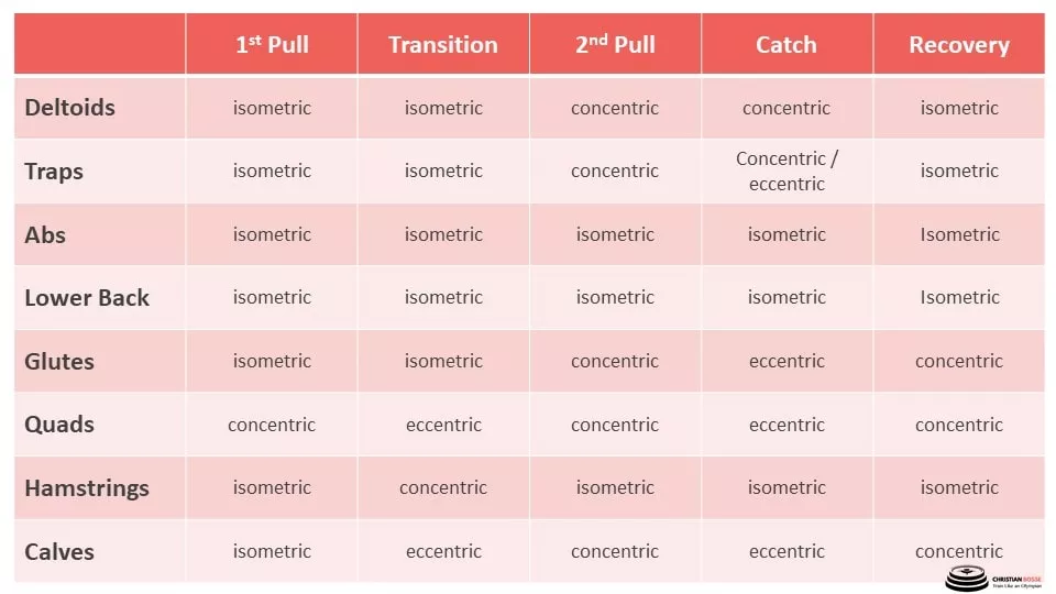 What muscles does the Power Snatch work