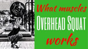 Overhead-Squat-muscles-worked-What-muscles-do-Overhead-Squats-work